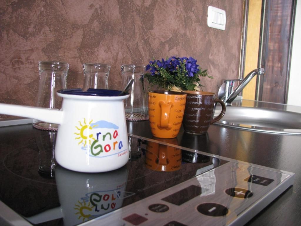 Апартаменты Sun Apartments Podgorica Подгорица-43