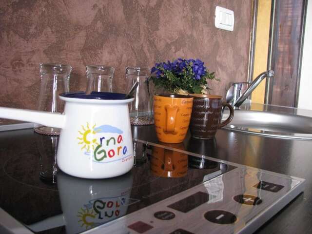 Апартаменты Sun Apartments Podgorica Подгорица-42